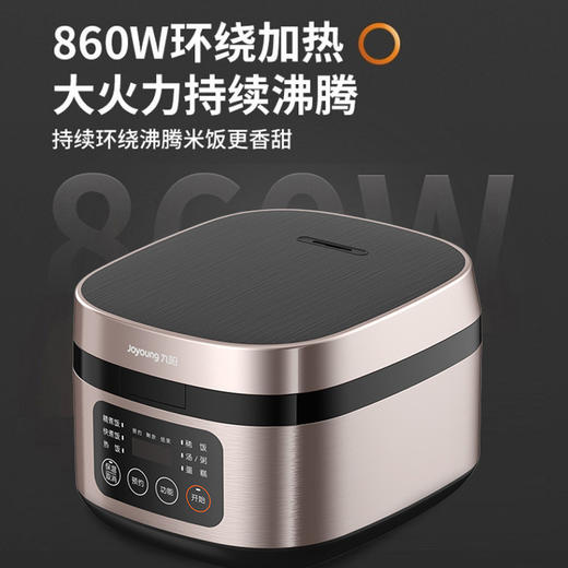 九阳电饭煲F40FY-F330
 商品图3