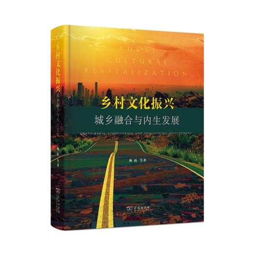 乡村文化振兴：城乡融合与内生发展 林拓 等著 商务印书馆 商品图0