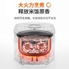 九阳电饭煲F30FZ-F4170 商品缩略图2