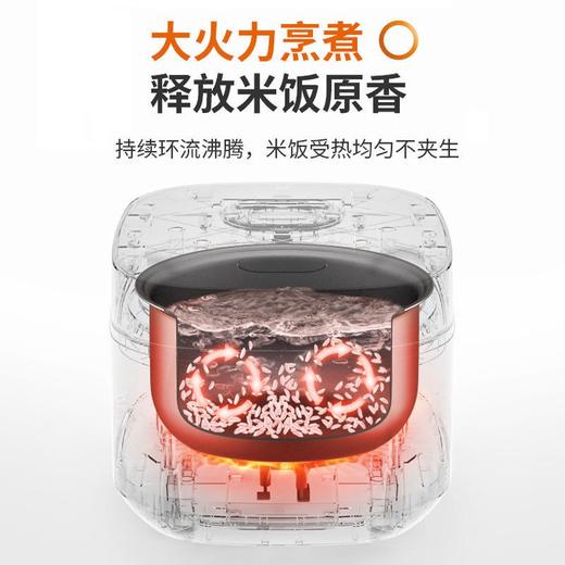 九阳电饭煲F30FZ-F4170 商品图2