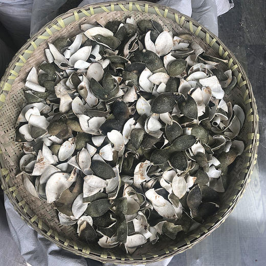 青皮 四花青皮  青皮丝   新货 商品图0