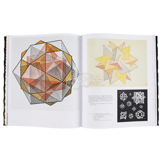 【中商原版】埃舍尔的魔力 英文原版 The Magic of M.C.Escher Locher Thames and Hudson 商品图5