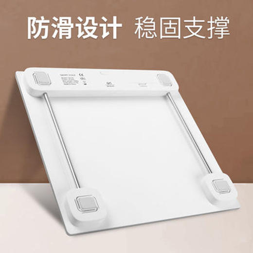 美的 健康秤 MO-CW5 商品图2