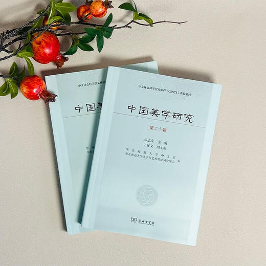 中国美学研究(第20辑) 朱志荣 主编 王怀义 副主编 商务印书馆 商品图2