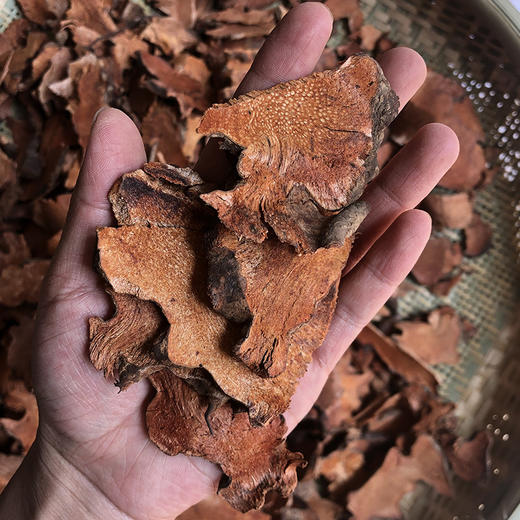 金刚藤   菝葜 商品图3