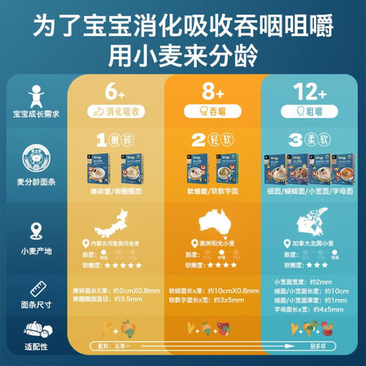 禾泱泱麦分龄 婴幼儿蝴蝶面 五彩蔬果味  12月推荐 商品图2
