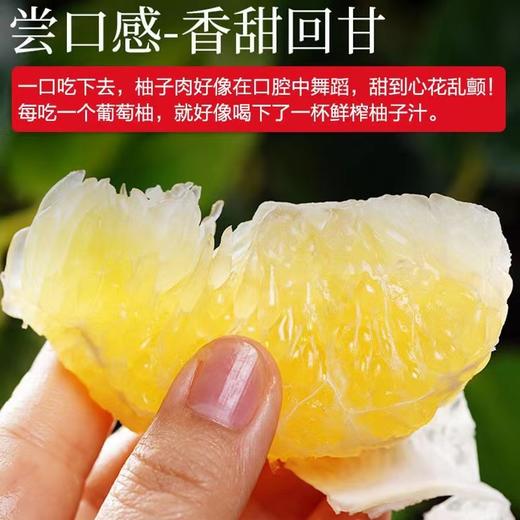 【鲜嫩多汁！黄金葡萄柚礼盒套装】新鲜爆汁，当季现摘！汁多爽口，柚香浓郁！水果皮薄肉多黄心西柚子七夕情人节健康 商品图1