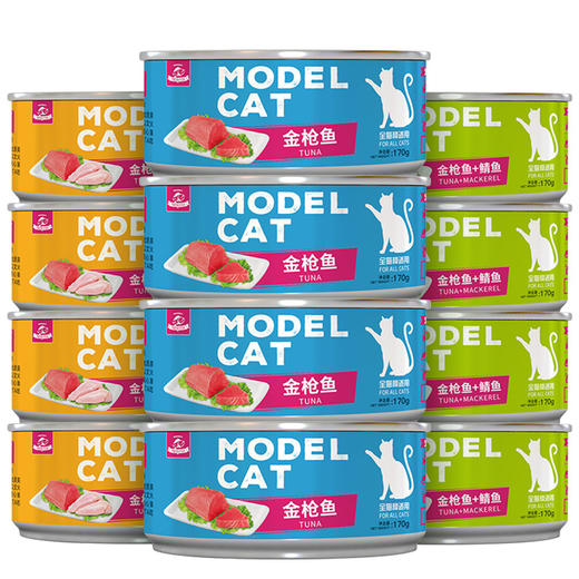 麦富迪猫罐头模特猫罐头补充营养170g*12整箱 商品图4