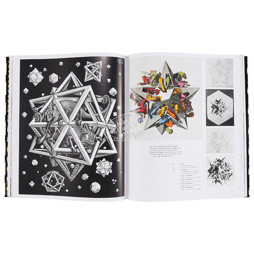 【中商原版】埃舍尔的魔力 英文原版 The Magic of M.C.Escher Locher Thames and Hudson 商品图6