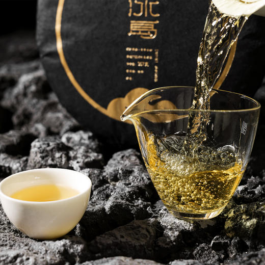 午一 | 2023年冰岛老寨百年古树云上冰岛357G 商品图1