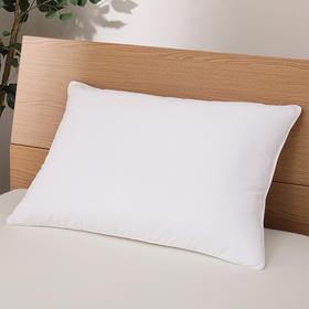 枕头 抗菌防臭防尘螨健康枕2