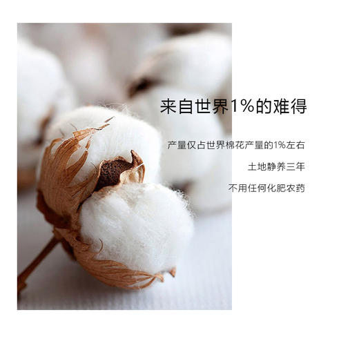 环保棉女士居家连衣裙 商品图9