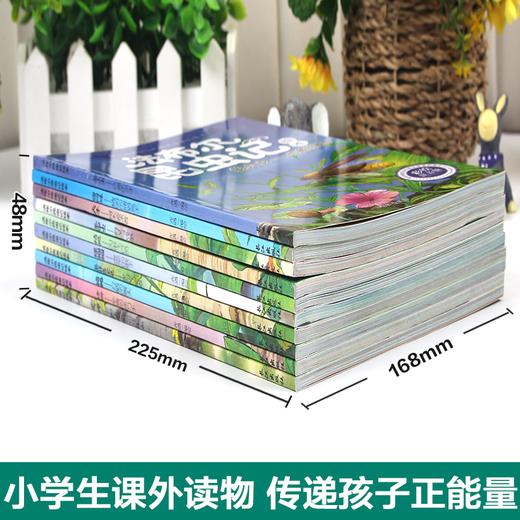 【斗半匠】法布尔昆虫记全10册 商品图2