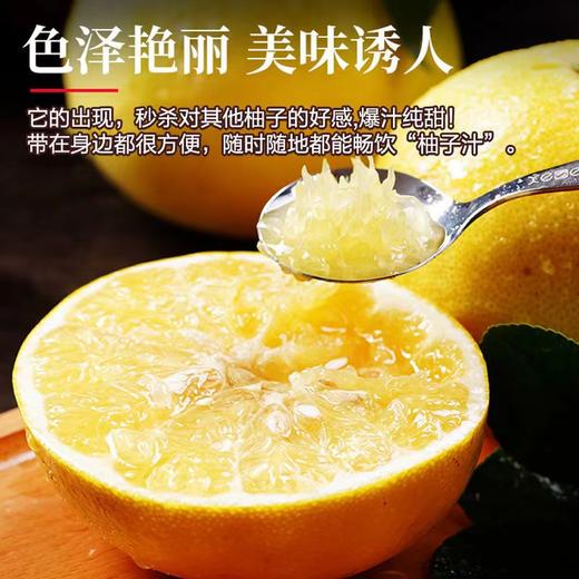 【鲜嫩多汁！黄金葡萄柚礼盒套装】新鲜爆汁，当季现摘！汁多爽口，柚香浓郁！水果皮薄肉多黄心西柚子七夕情人节健康 商品图4