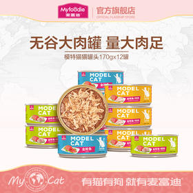 麦富迪猫罐头模特猫罐头补充营养170g*12整箱