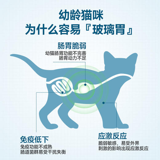 麦富迪益生菌猫粮幼猫粮4-12月龄适用全价营养无谷幼猫粮1.8kg 商品图1