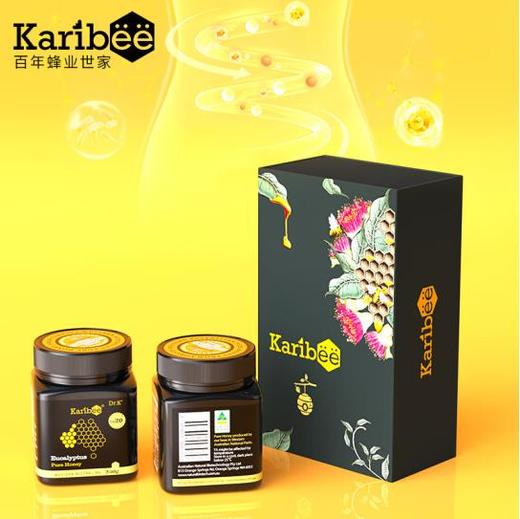 可瑞比Karibee  澳大利亚进口桉树蜜20+ 250g/罐 商品图2