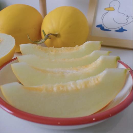 【海南金美人蜜瓜】肉质细嫩  果汁充足   5斤装 商品图4