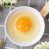 临泉农户散养初生土鸡蛋小鸡蛋初产蛋新鲜适合老人孩子 商品缩略图4