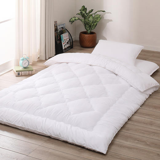 枕头 抗菌防臭防尘螨健康枕2 商品图2