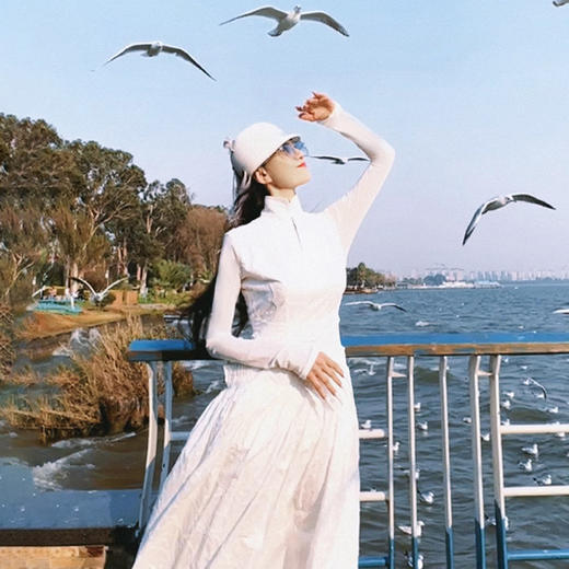 优雅款 |梅骨清韵民族风连衣裙 | 杨丽萍老师同款 | 现货加急发 商品图3