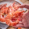 野生红爪虾 240g5-6只 手掌大的虾 商品缩略图1