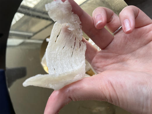 溯源大破盏 孕妇滋补 日常保养 轻盈自然亮面多醣体满满燕窝酸 商品图4