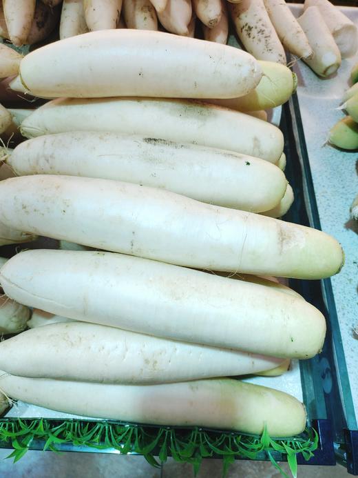 白萝卜3根（拼团） 商品图0