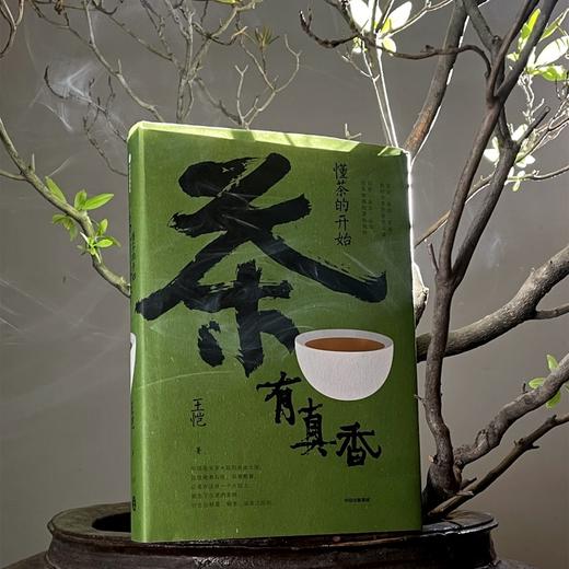 《茶有真香：懂茶的开始》从喝茶到懂茶 记录当代茶人茶事 商品图1