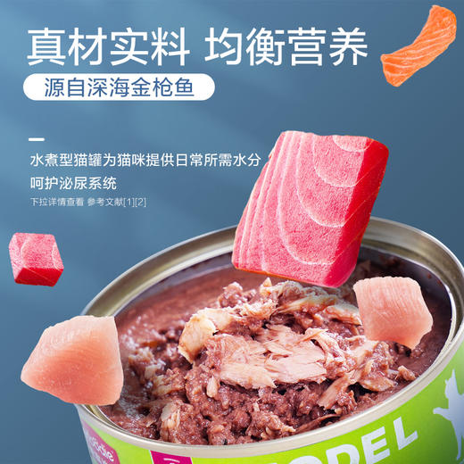 麦富迪猫罐头模特猫罐头补充营养170g*12整箱 商品图2