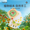 mideer弥鹿儿童春天DIY手工压花器树叶花朵标本纸质创意花瓶制作 商品缩略图0