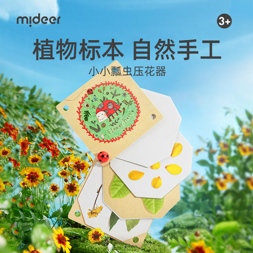 mideer弥鹿儿童春天DIY手工压花器树叶花朵标本纸质创意花瓶制作 商品图0