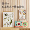 mideer弥鹿儿童春天DIY手工压花器树叶花朵标本纸质创意花瓶制作 商品缩略图4