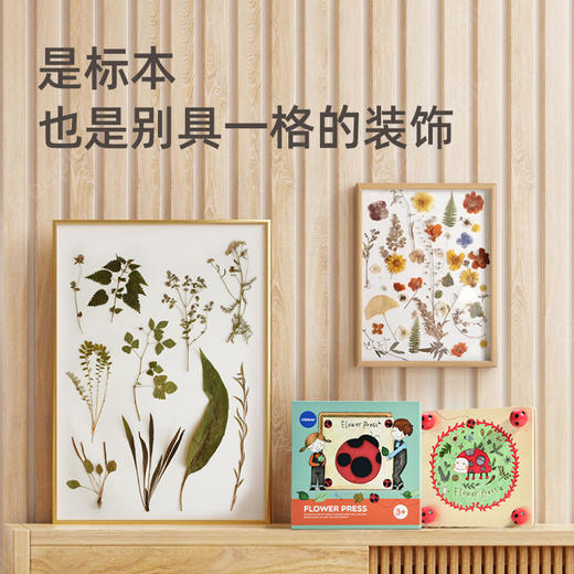 mideer弥鹿儿童春天DIY手工压花器树叶花朵标本纸质创意花瓶制作 商品图4