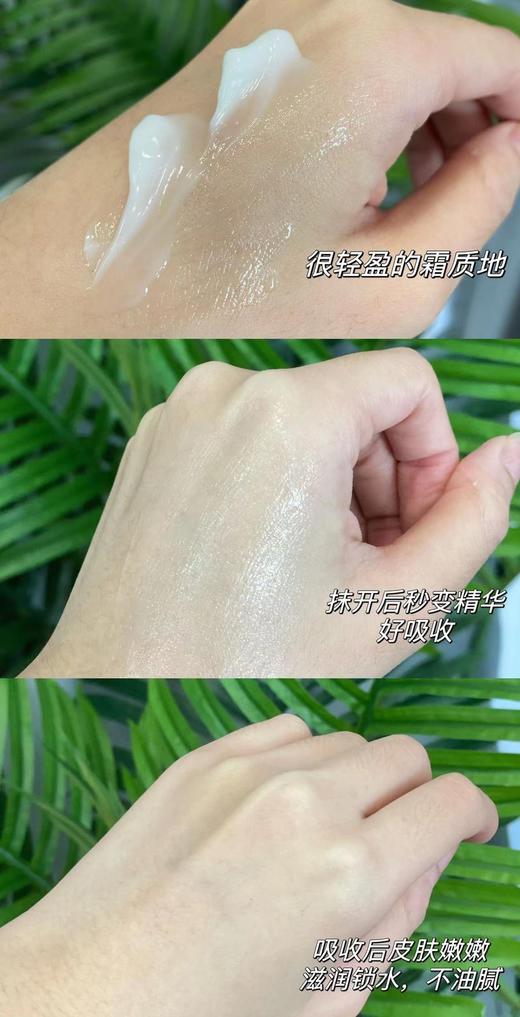 【TOPC益生元洋甘菊保湿霜】 50g 持久补水保湿 改善肌肤干燥 一抹即化成精华质感，调节皮肤微生态 塑造健康肌肤状态 大人小孩宝妈全家都能用 商品图5