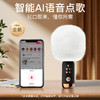唱吧小巨蛋G3 商品缩略图1