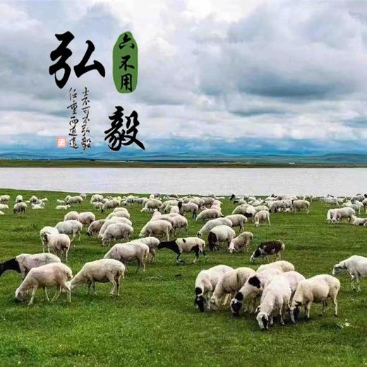 【弘毅六不用生态农场】六不用 草原羔羊排 自由放牧1000克/份 商品图3