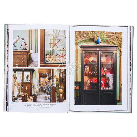 【中商原版】Timeless Paris 进口艺术 永恒的巴黎 商品图7