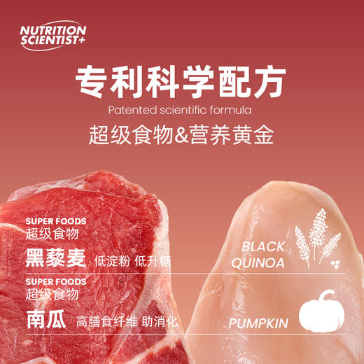 布兰德营养学加全价猫冻干100g 商品图1