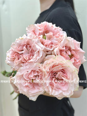 PRINCESS CROWN皇冠公主厄瓜多尔玫瑰花9支