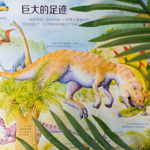 尤斯伯恩揭秘看里面系列56册精选---接力好书 商品图4