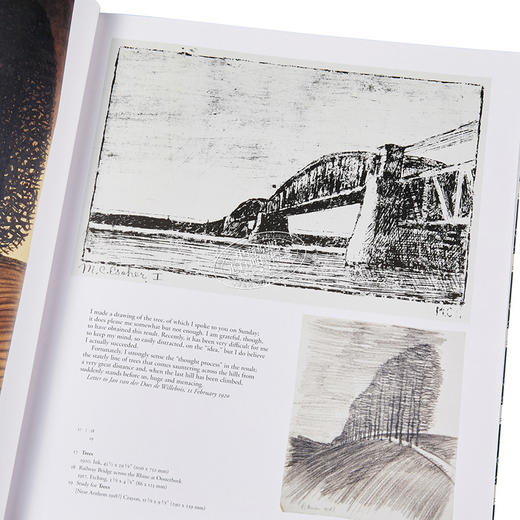 【中商原版】埃舍尔的魔力 英文原版 The Magic of M.C.Escher Locher Thames and Hudson 商品图3