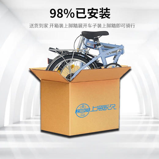 永久20寸折叠车 佳驰 商品图2