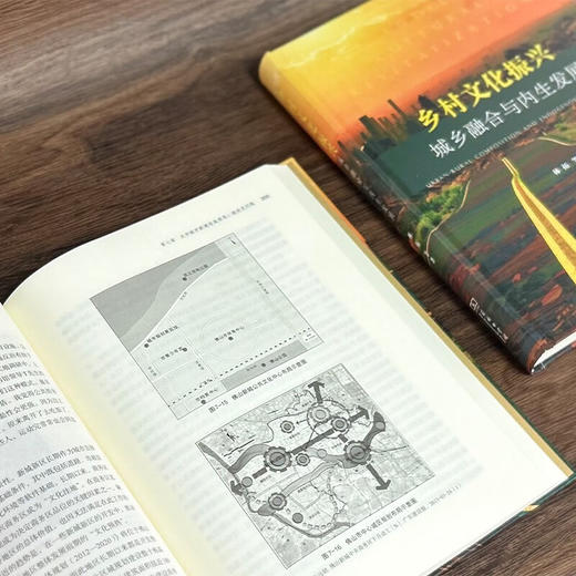 乡村文化振兴：城乡融合与内生发展 林拓 等著 商务印书馆 商品图5