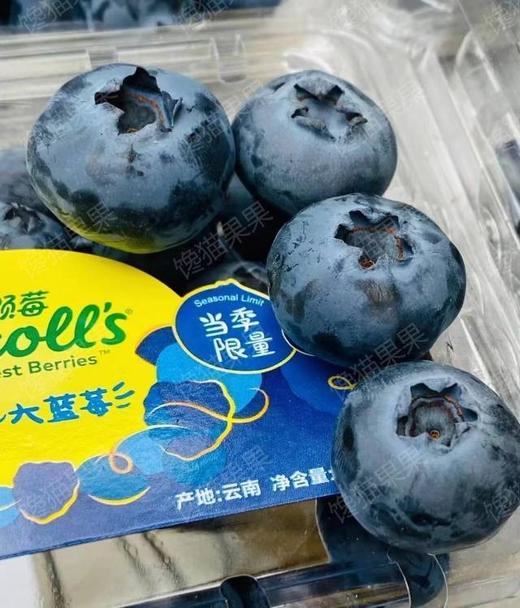 ✨Driscoll's蓝莓王，纯正L25，新鲜果粉足，甜甜脆脆爽爽。 商品图1