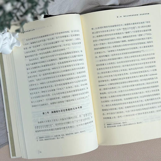 海德格尔的最后之神：基于现象学的未来神学思想（未来哲学丛书） 张静宜 著 商务印书馆 商品图5