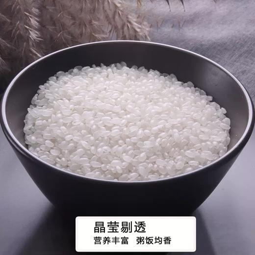 农家伯寒地珍珠米20斤/袋 商品图3