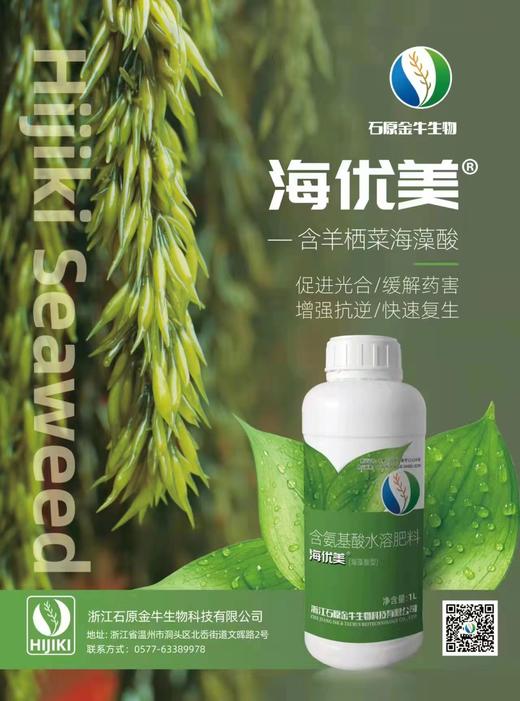 浙江石原海优美海藻酸 商品图0