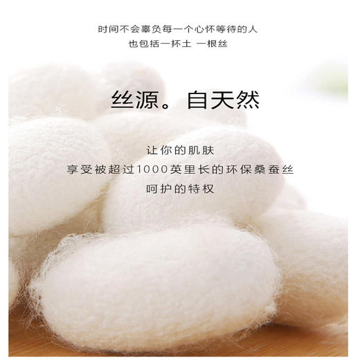 环保桑蚕丝防晒袖套 商品图1