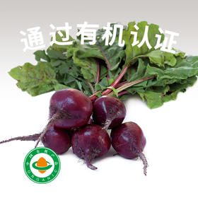 云南良道天成有机红甜菜2.5Kg|色泽诱人 回甘甜蜜 全程有机种植